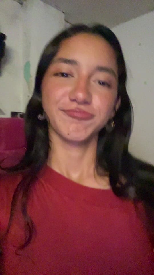 Post 5 by soyvank on TikTok (video)