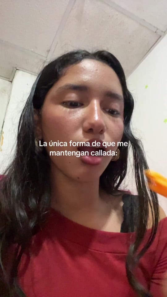 Post 3 by soyvank on TikTok (video)