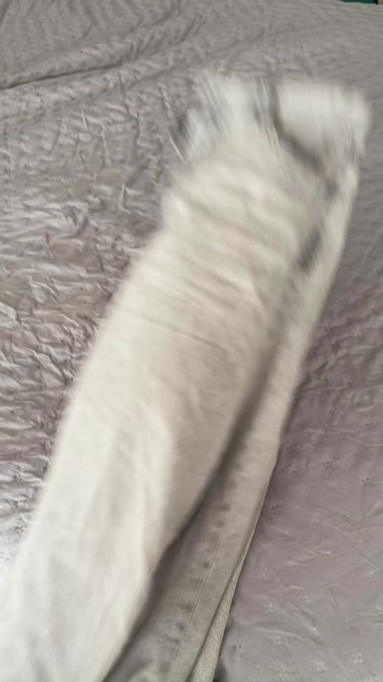 Post 10 by Luciana Triviño | UGC Spain on TikTok (video)