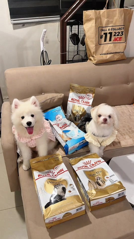Post 9 by Mulan and Bella on TikTok (video)