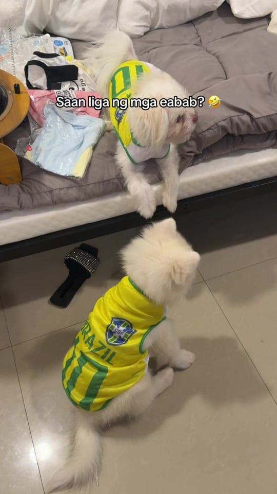 Post 4 by Mulan and Bella on TikTok (video)