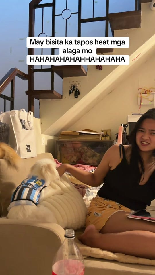 Post 1 by Mulan and Bella on TikTok (video)