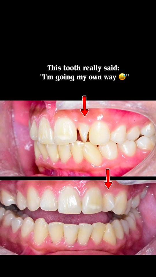 Post 7 by Dr. Nhu Dang on TikTok (video)