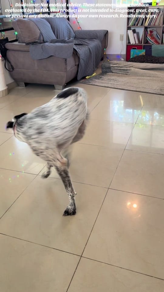 Post 1 by wildynaturalmama on TikTok (video)