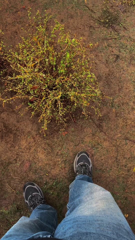 Post 7 by realclutchmania on TikTok (video)