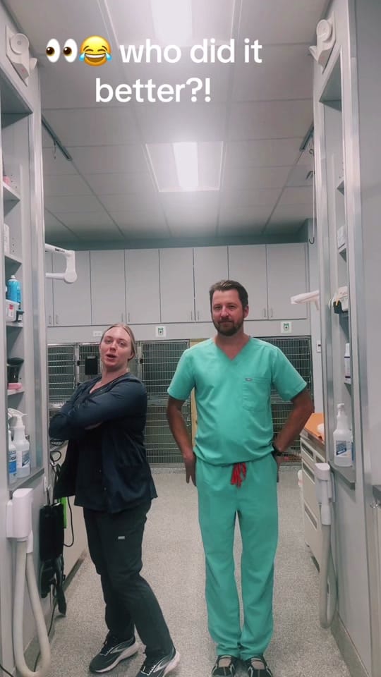 Post 7 by ArkAnimalHospital on TikTok (video)