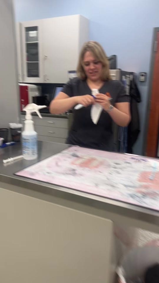 Post 5 by ArkAnimalHospital on TikTok (video)