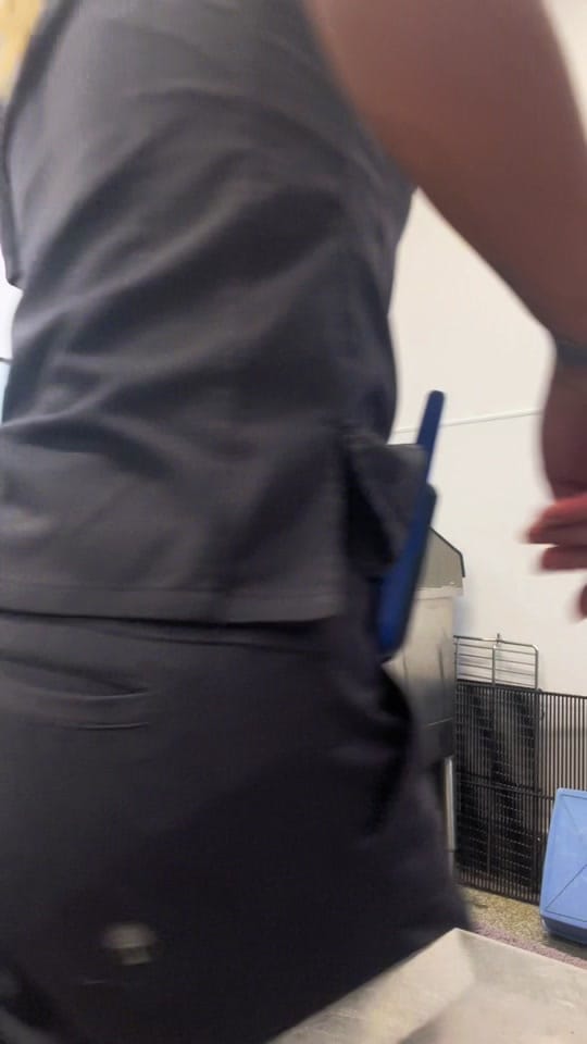 Post 8 by ArkAnimalHospital on TikTok (video)