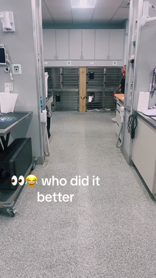 Post 6 by ArkAnimalHospital on TikTok (video)