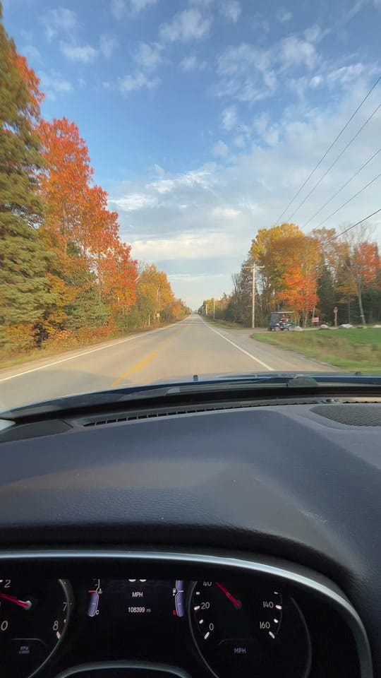 Post 7 by Faith Matzen on TikTok (video)