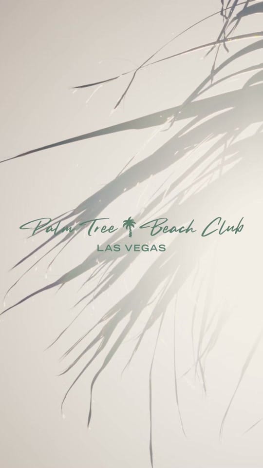 Post 2 by Palm Tree Beach Club on TikTok (video)