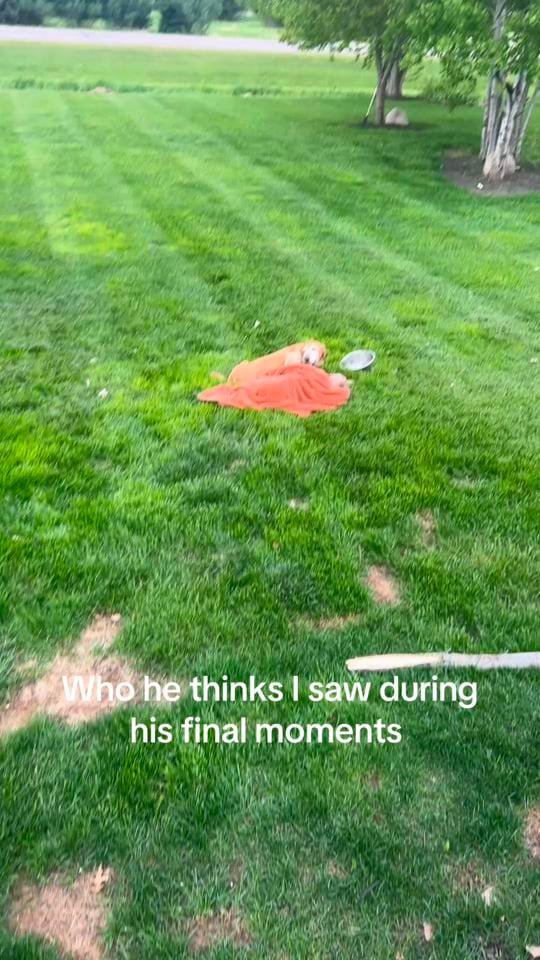 Post 1 by Dani MarieTurbo, RN on TikTok (video)