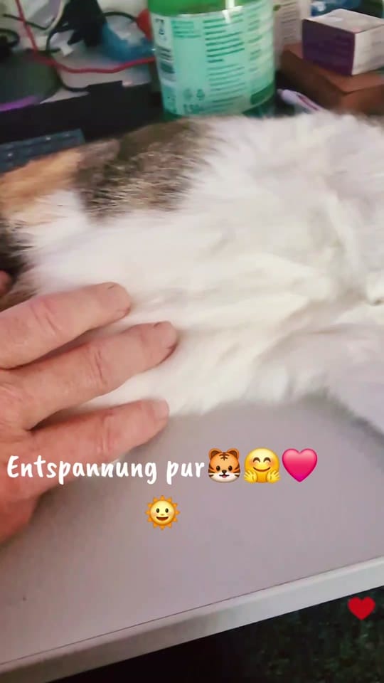Post 2 by andreas on TikTok (video)