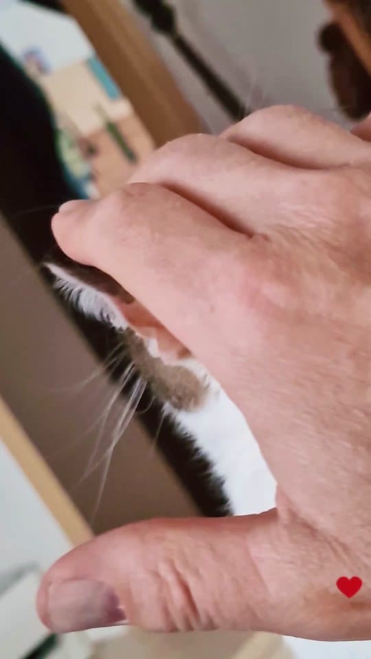 Post 6 by andreas on TikTok (video)