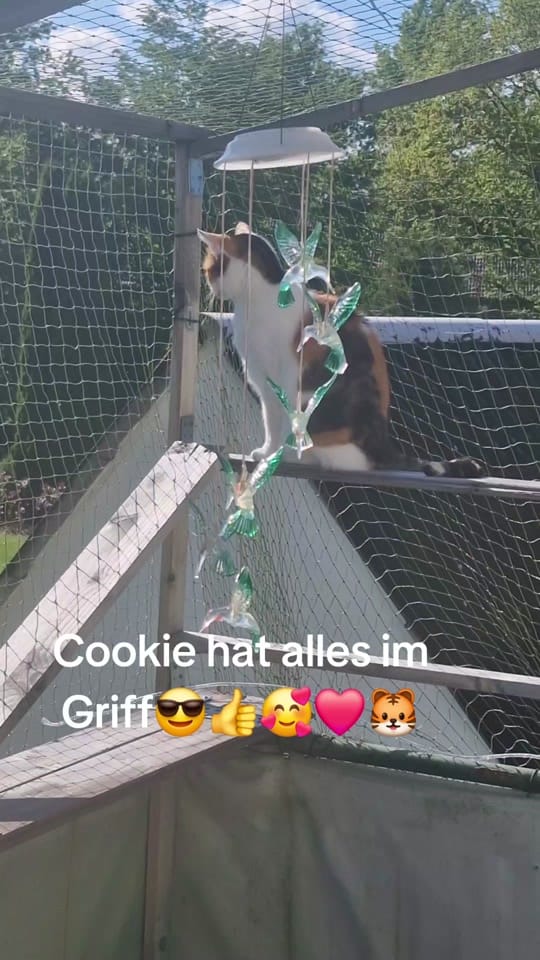Post 5 by andreas on TikTok (video)