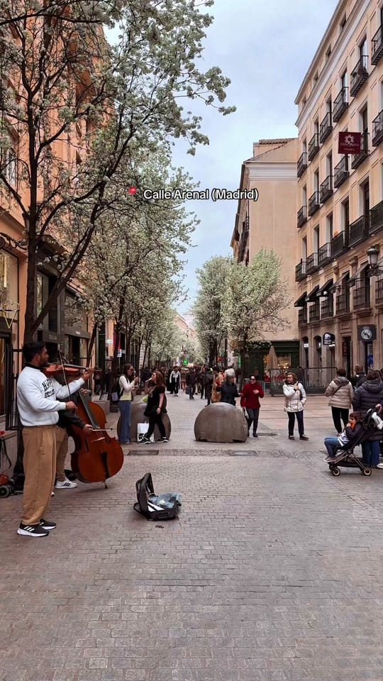 Post 7 by City Confidential on TikTok (video)