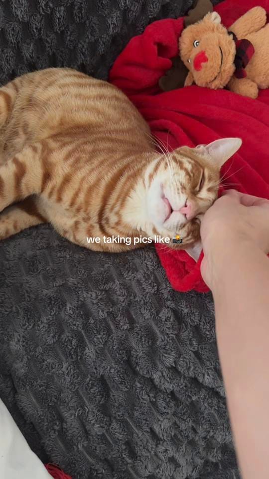 Post 4 by Fatima🪬 on TikTok (video)