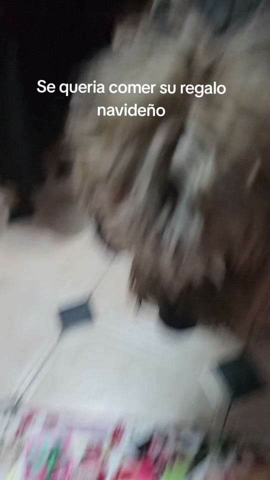 Post 7 by Gabi on TikTok (video)