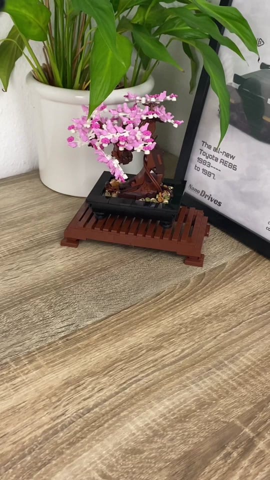 Post 2 by NanoDrives on TikTok (video)
