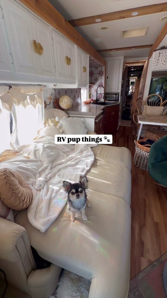 Post 4 by TheRollinBoles on TikTok (video)