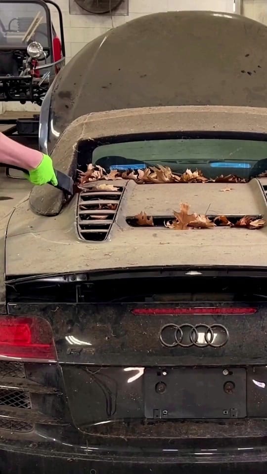 Post 10 by Kaylani Auto on TikTok (video)