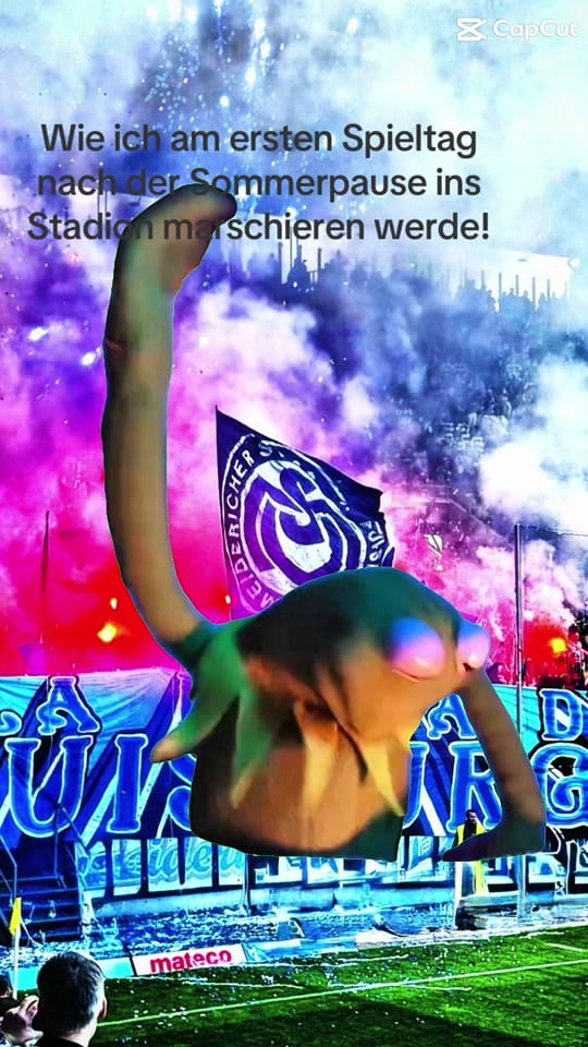 Post 1 by Markus F. on TikTok (video)