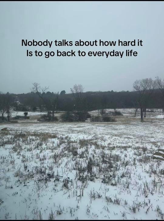 Post 2 by Anna Riley on TikTok (video)