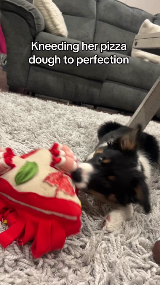 Post 2 by braintumorandbarnlife on TikTok (video)