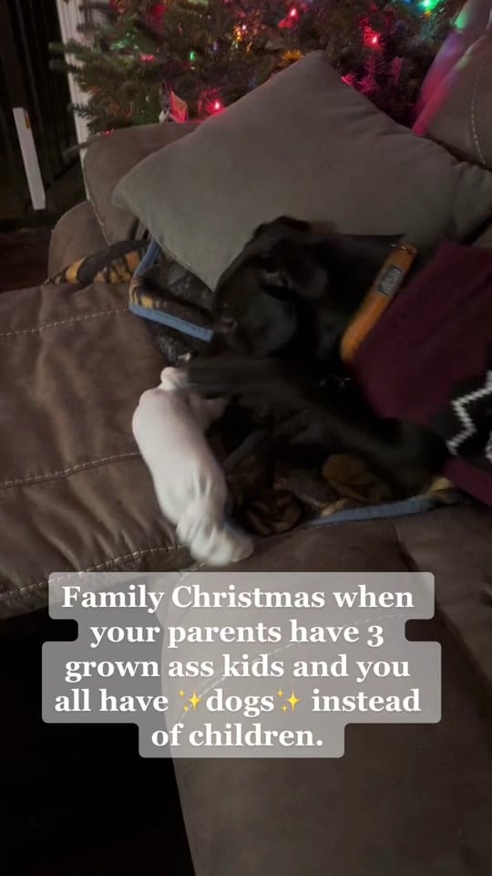 Post 7 by Critter Crossing Rehab on TikTok (video)