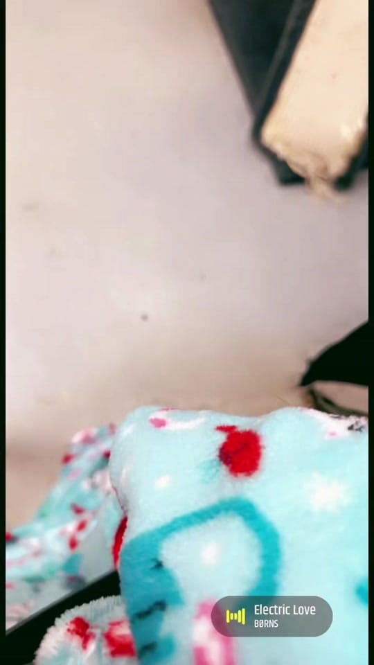 Post 9 by Critter Crossing Rehab on TikTok (video)