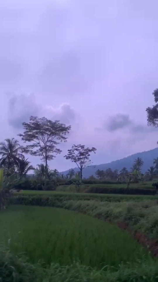 Post 4 by ptridska_ on TikTok (video)