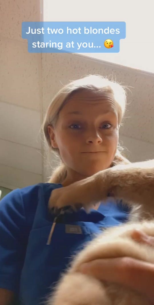 Post 10 by Exotic Vet Techs on TikTok (video)