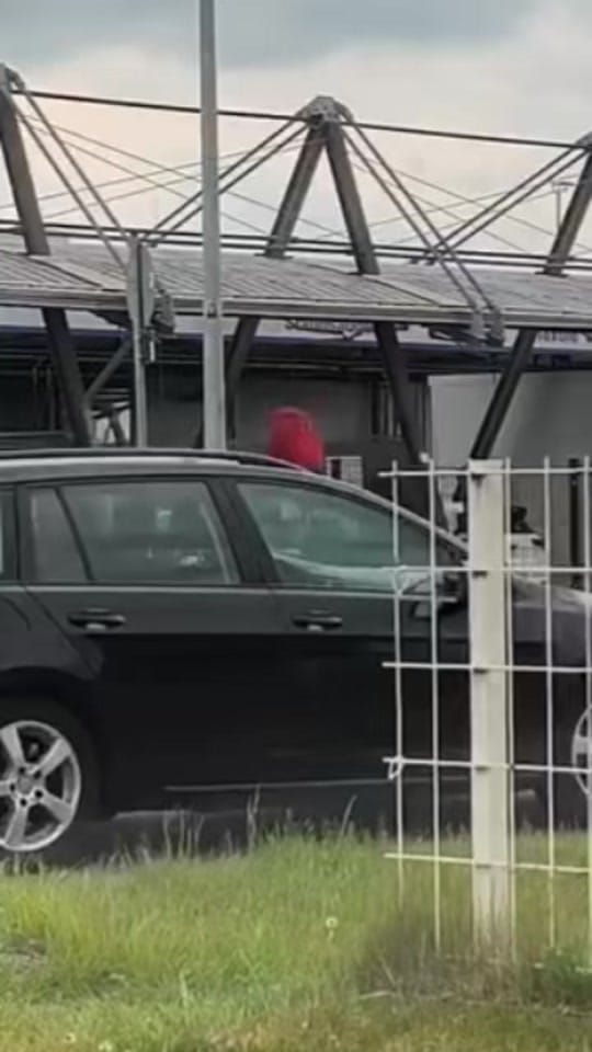 Post 5 by Tika on TikTok (video)