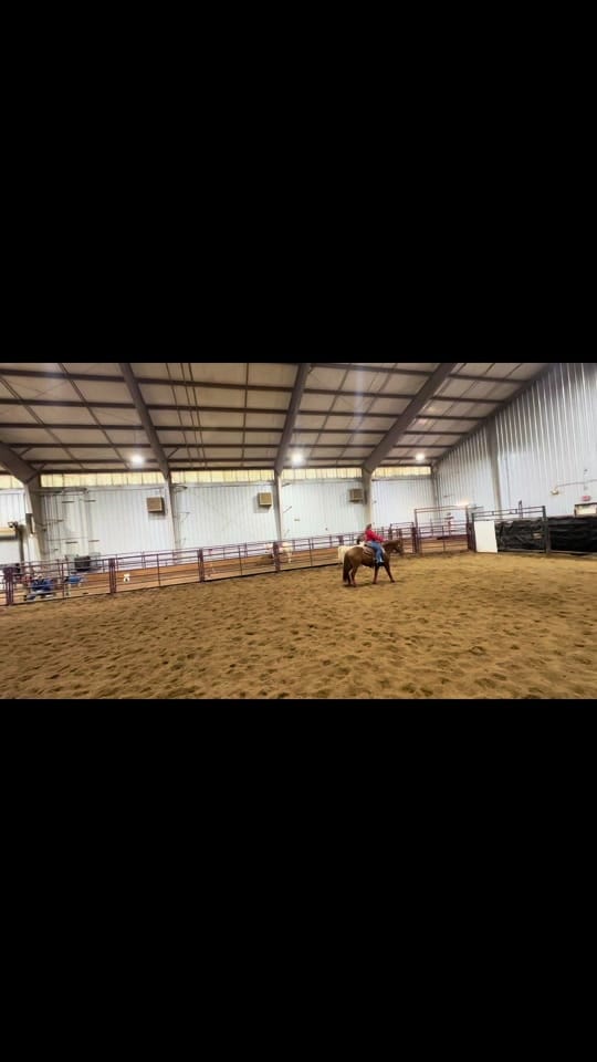 Post 4 by Holly on TikTok (video)