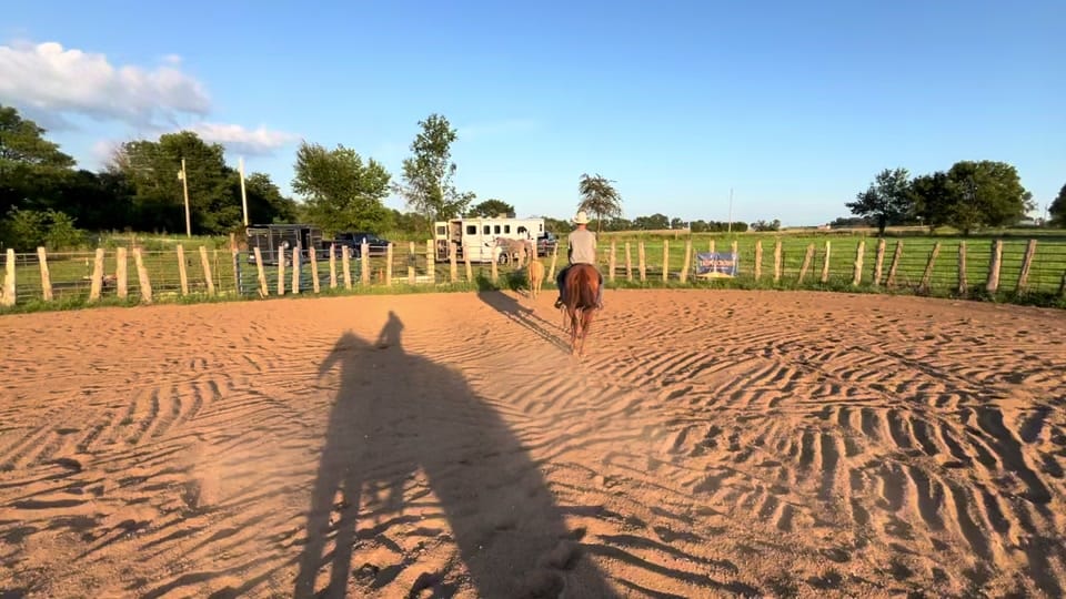 Post 1 by Holly on TikTok (video)