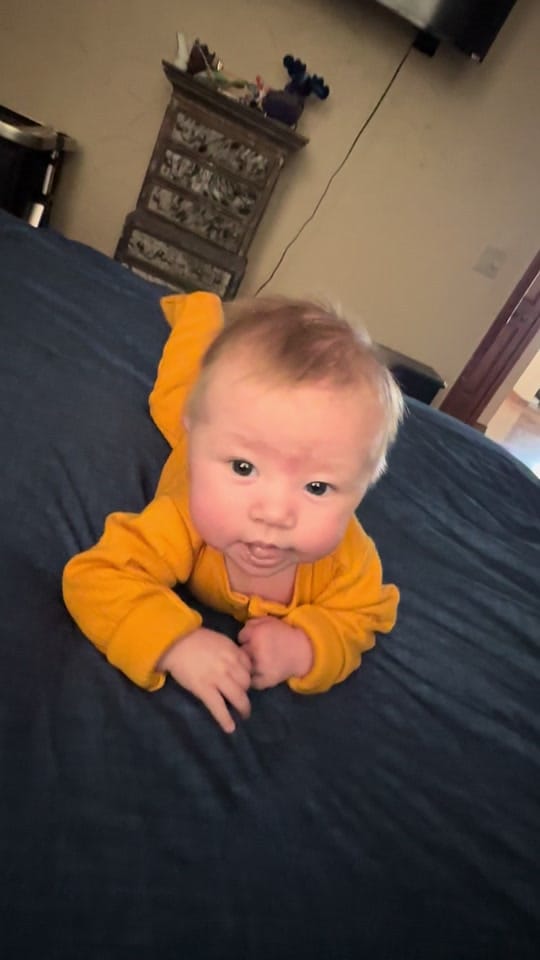 Post 10 by Holly on TikTok (video)