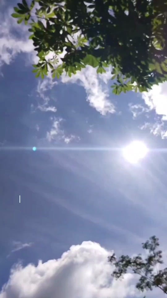 Post 9 by Feriss. on TikTok (video)