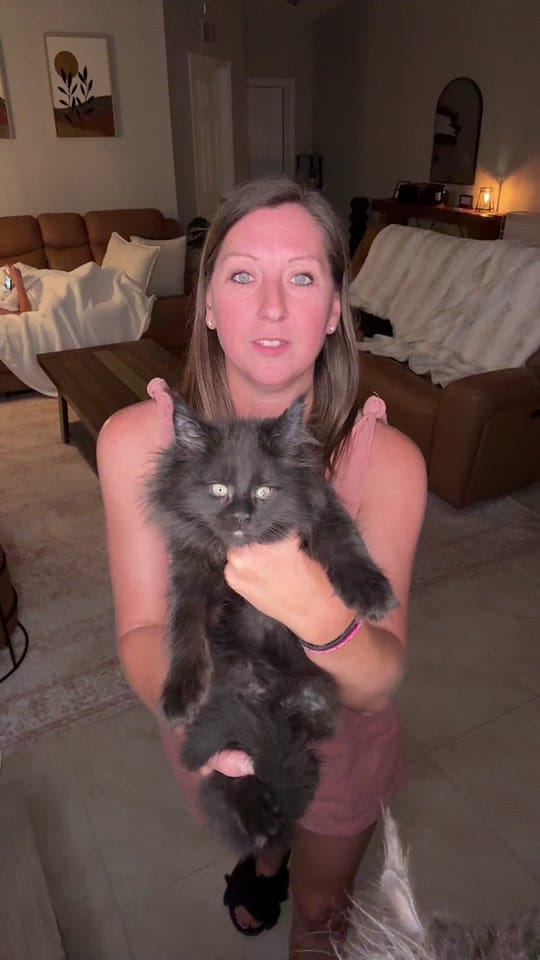 Post 5 by Caylee’s Coons on TikTok (video)