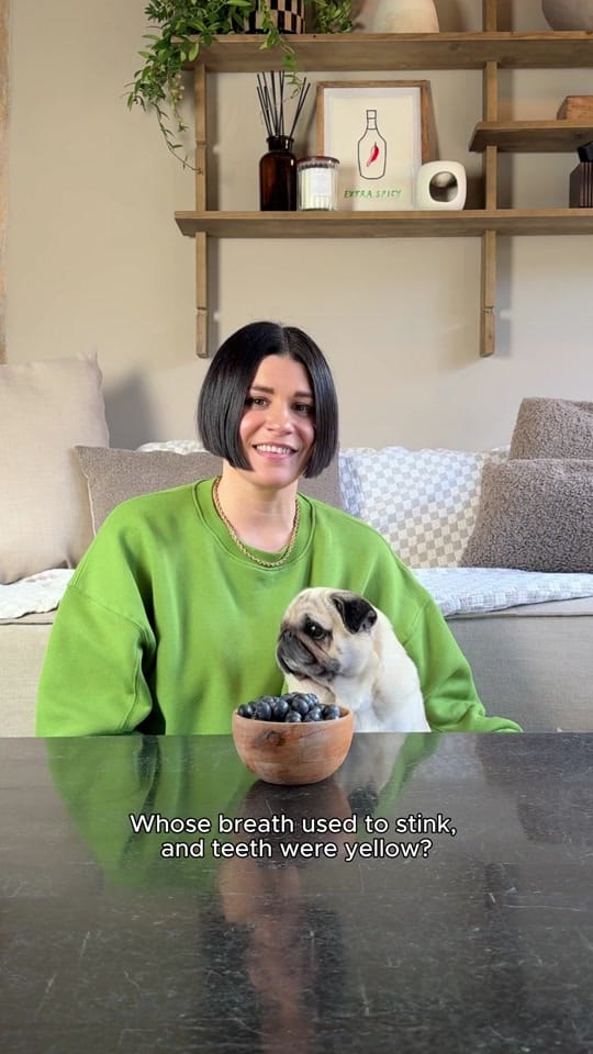 Post 4 by PetLab Co. UK on TikTok (video)