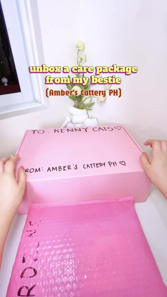 Post 1 by KennyCats ♡ on TikTok (video)