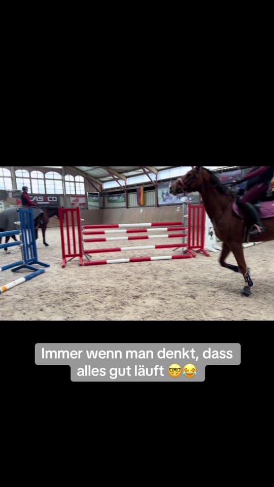 Post 3 by carolinandeileen on TikTok (video)