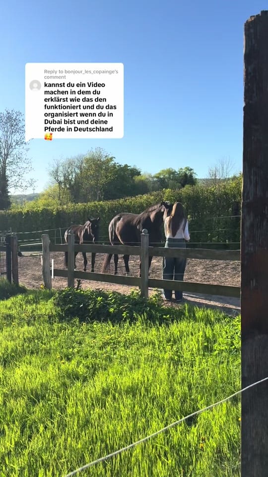 Post 5 by fionamilz08 on TikTok (video)