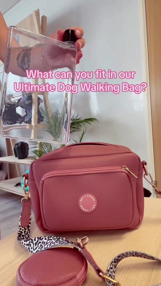 Post 9 by Poppy + Ted 🐶 on TikTok (video)
