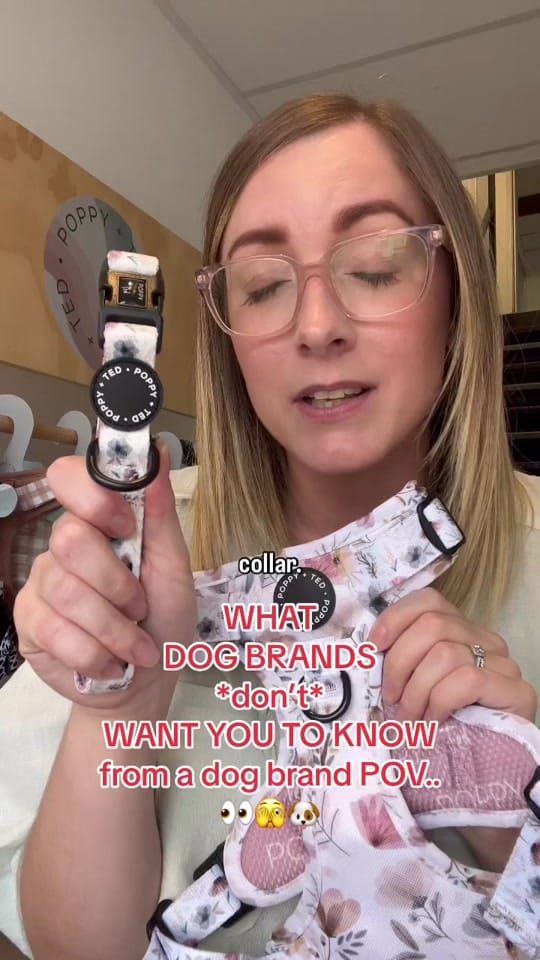 Post 8 by Poppy + Ted 🐶 on TikTok (video)