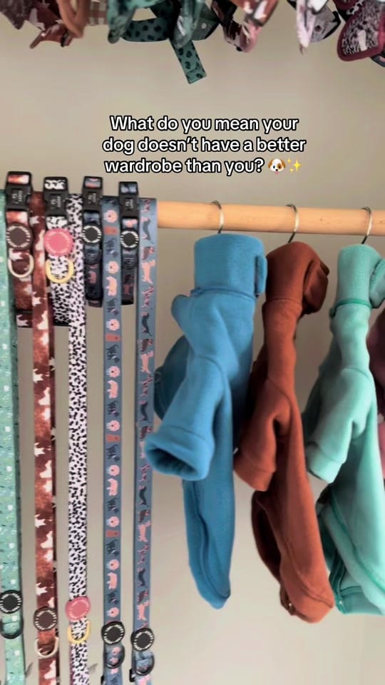 Post 7 by Poppy + Ted 🐶 on TikTok (video)