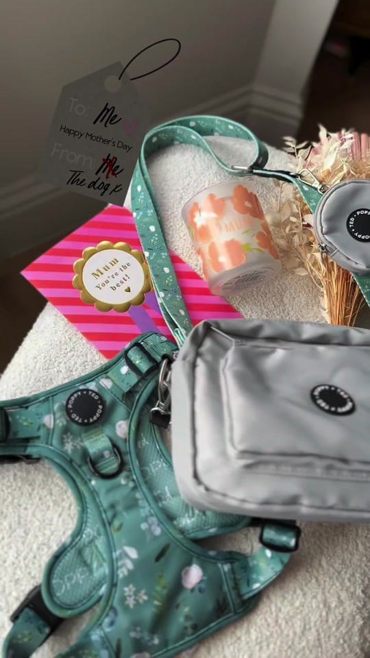 Post 3 by Poppy + Ted 🐶 on TikTok (video)