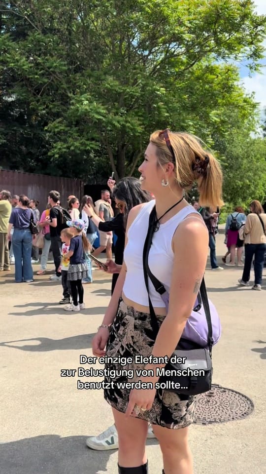 Post 4 by ordinary_brandy on TikTok (video)