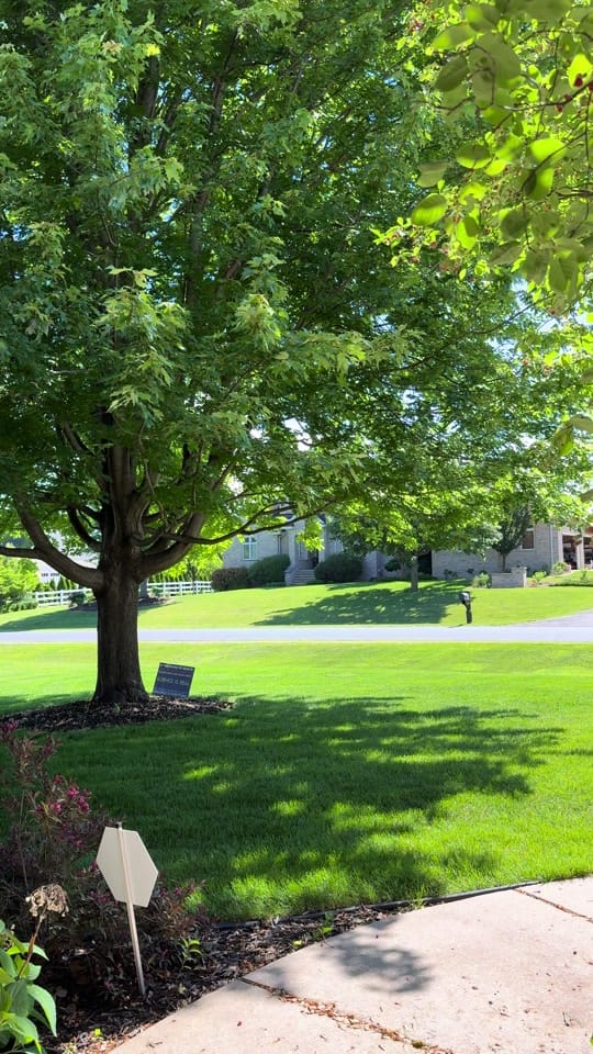 Post 3 by Dr. Kristin Lyerly on TikTok (video)