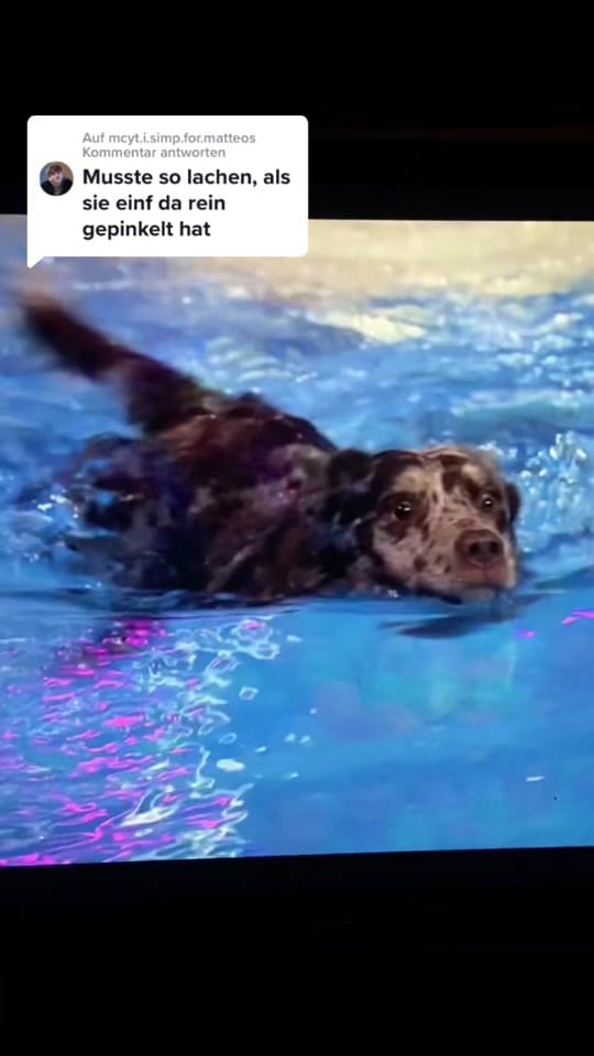 Post 10 by D a r i o A n g e l o ♛ on TikTok (video)
