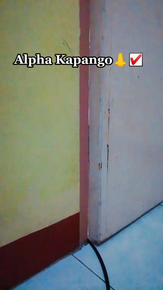 Post 8 by maggiethecuddlybears on TikTok (video)